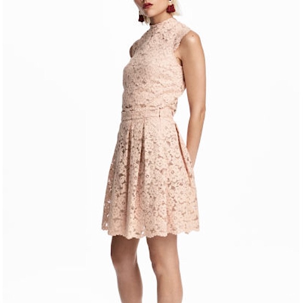 H&M ‘By Night’ Blush Lace Skirt, 6